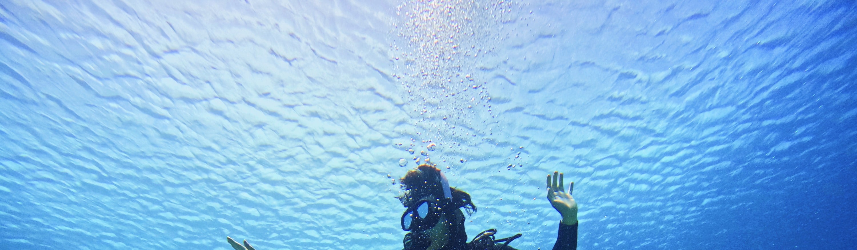 綠島: 火燒島 - 潛水 (PADI OW / AOW / 救援Rescue / 自由潛水考照 / 體驗潛水 / 旅遊潛水