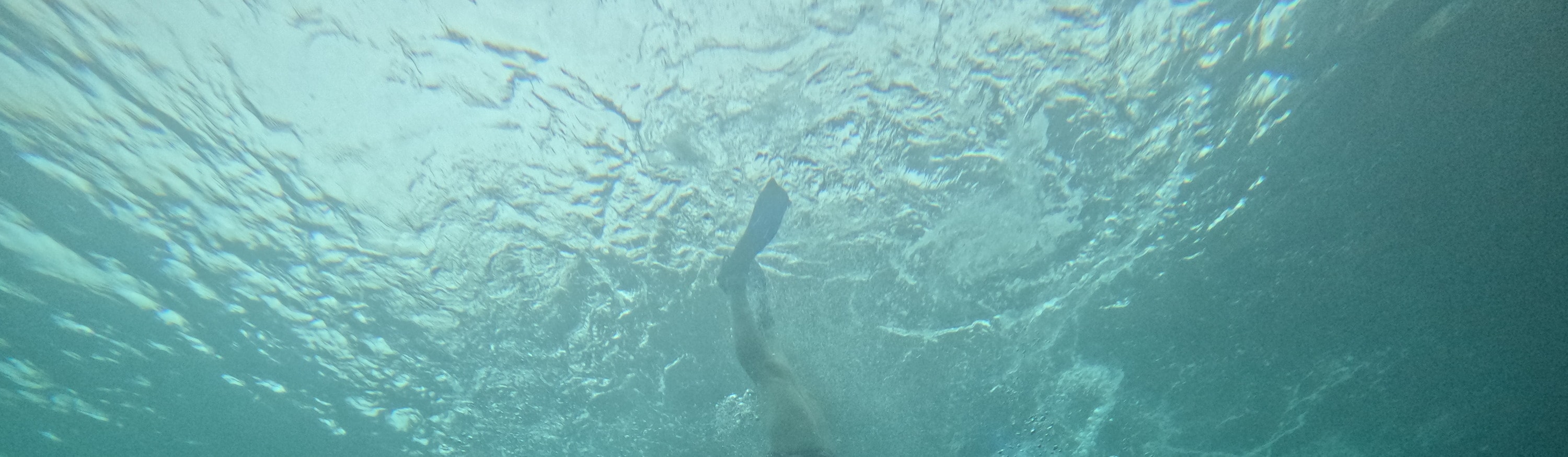 4 島浮潛日落之旅 + 夜晚生物熒光游泳