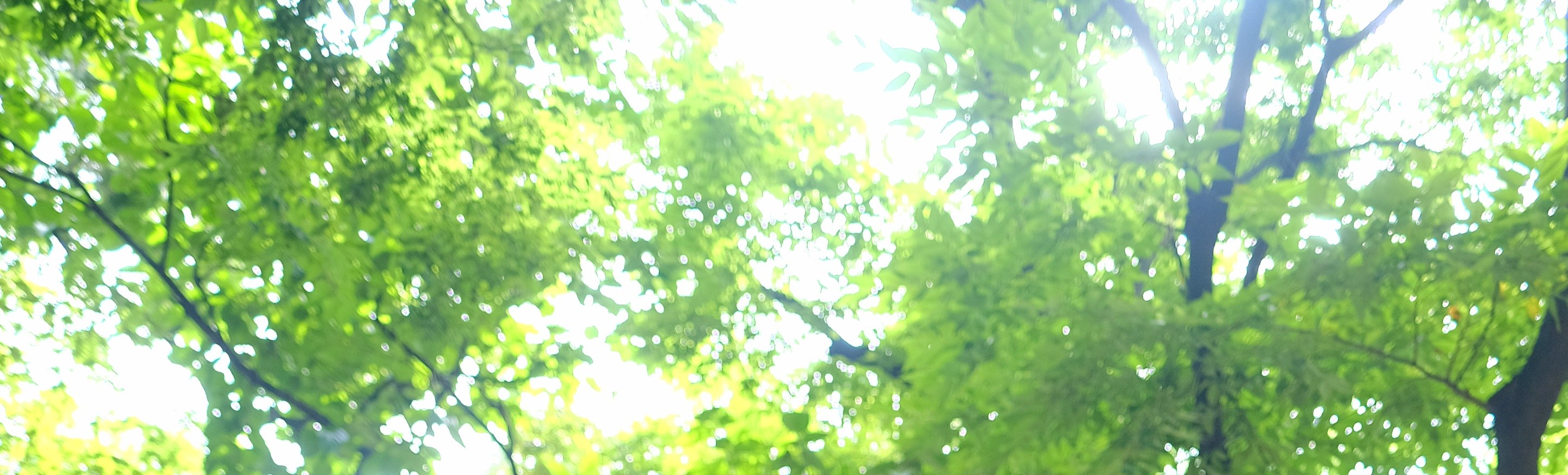 韓國公主韓服租賃 & 拍攝體驗