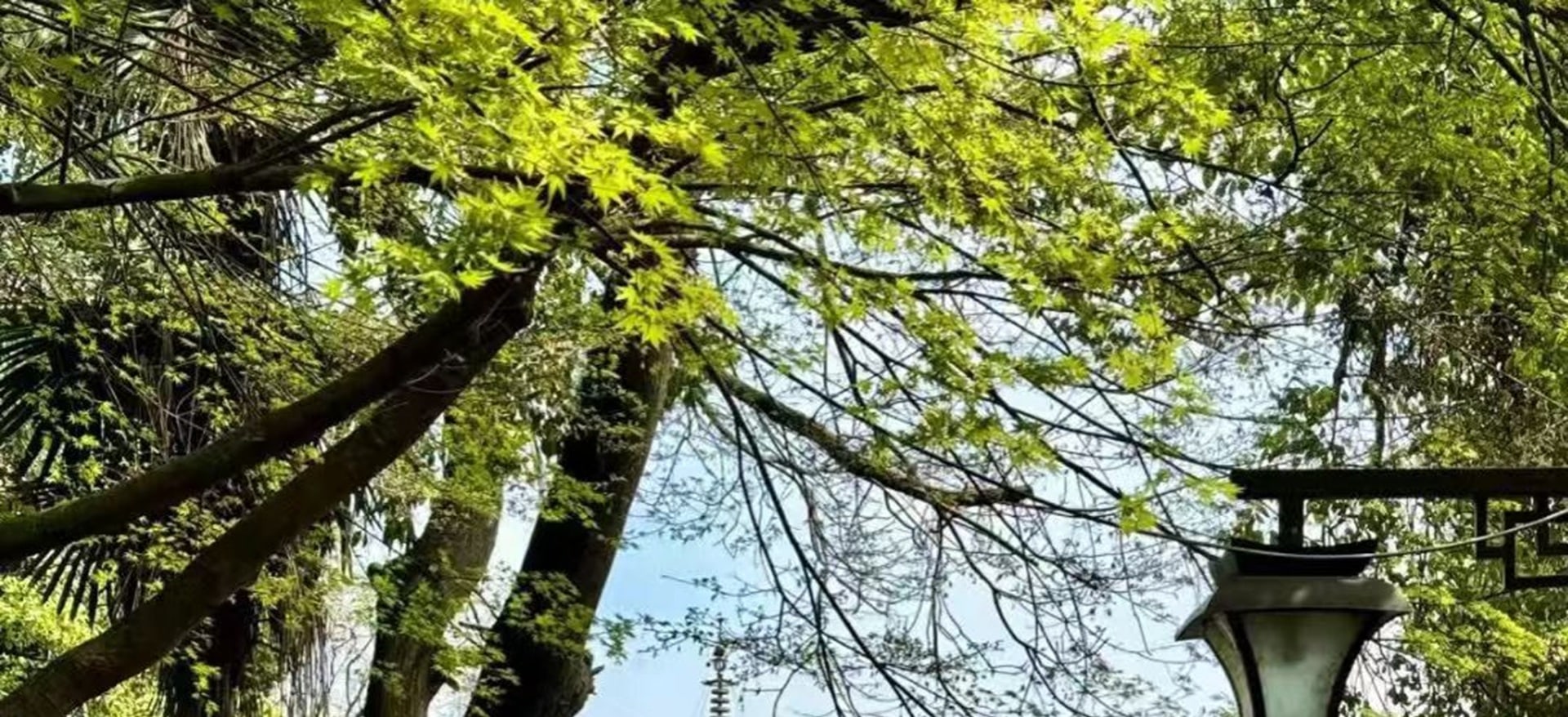 這裡曾是南宋王朝時的“皇城根兒”,更是南宋的文化中心和經貿中心。洋溢著濃郁的漢文化氣息,現在經過改造又開張了很多新的商鋪 這裡曾是南宋王朝時的“皇城根兒”,更是南宋的文化中心和經貿中心。洋溢著濃郁的漢文化氣息,現在經過改造又開張了很多新的商鋪