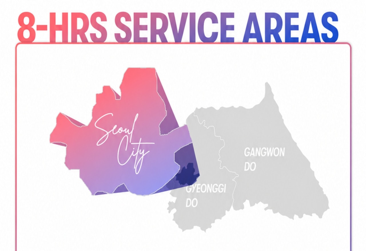 Seoul Private Car Charter to Seoul City/Everland/Nami Island/Alpaca World/Gangchon Rail Park