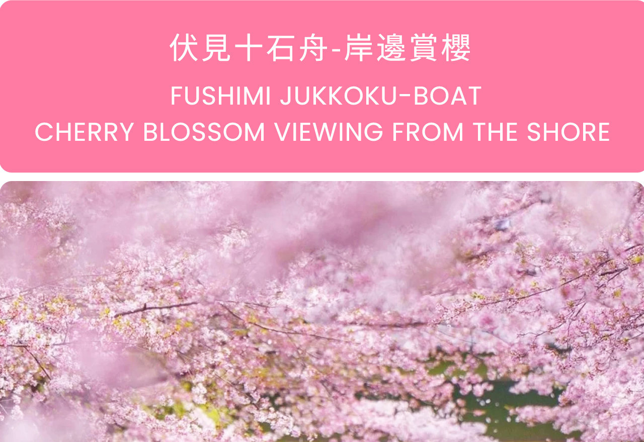 伏見十石舟:沿著古老水道緩緩前行,兩岸櫻花如雲、花瓣隨水飄落,是京都最有生活感與春日詩意的賞櫻體驗之一。 伏見十石舟:沿著古老水道緩緩前行,兩岸櫻花如雲、花瓣隨水飄落,是京都最有生活感與春日詩意的賞櫻體驗之一。