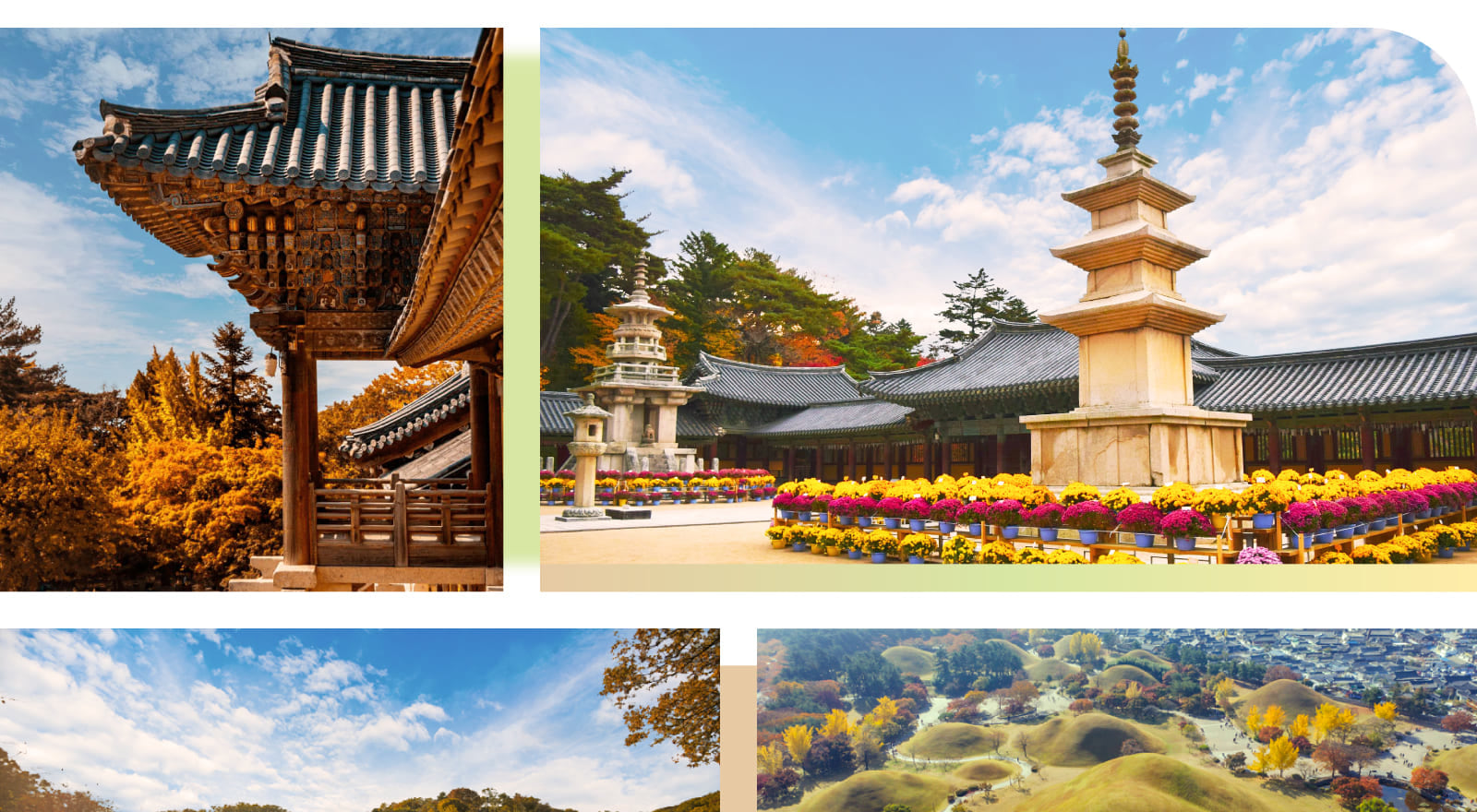 秋季時節，城市換上新裝，火紅的楓葉與金黃的銀杏交織成一幅令人屏息的絕美畫卷，為您的旅程打造令人難忘的背景。