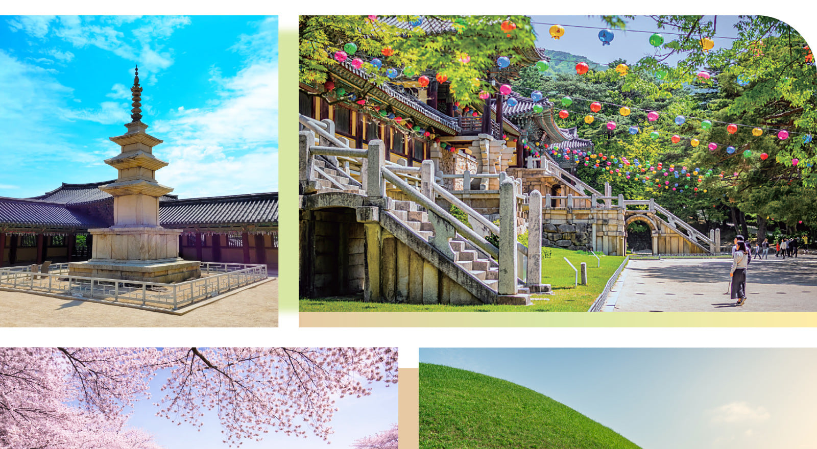 一整天捕捉古老寺院、王陵遺址與四季美景，留下經典又難忘的影像回憶。