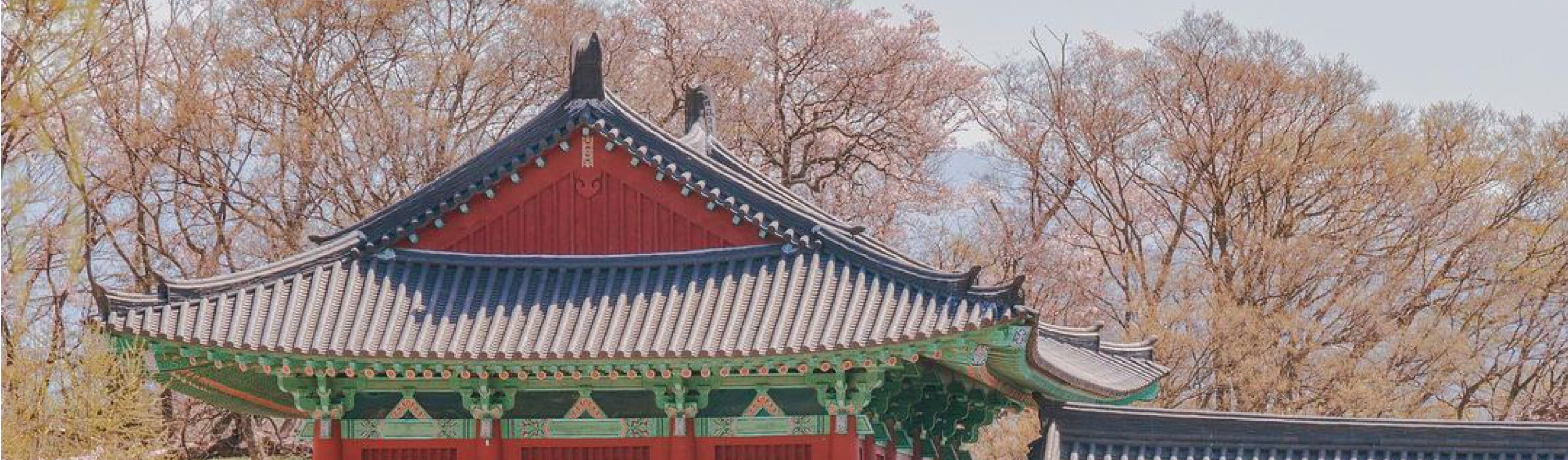 釜山 & 慶州一日遊（釜山出發）