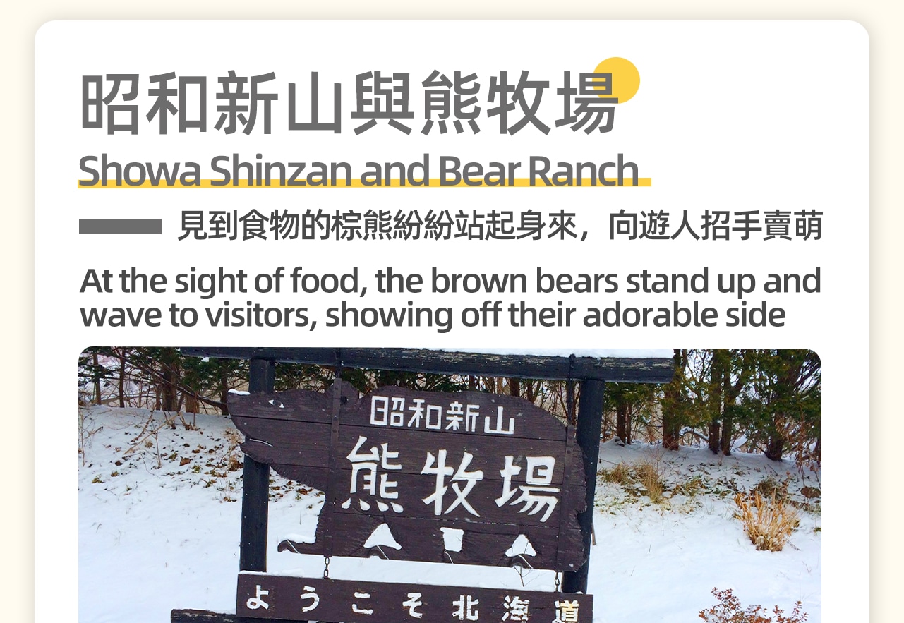 昭和新山和熊牧場，飼養著約100多隻純種的北海道棕熊。棕熊是北海道體型最大的野生哺乳動物，熊牧場裡可以為棕熊餵食。