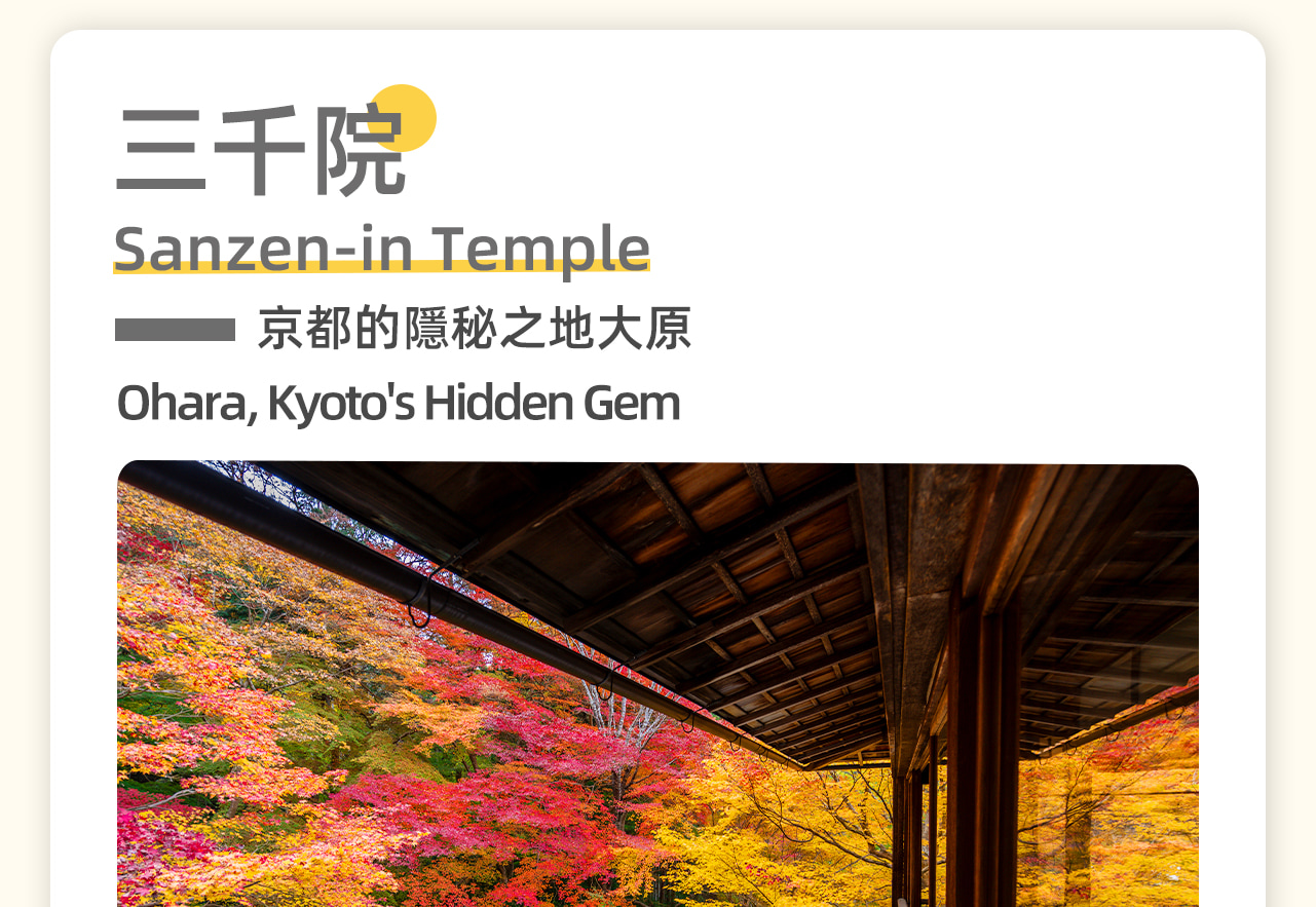 京都三千院(2024年11月5日起~2025年4月15日前往),天台宗古寺,春櫻夏繡球,秋楓冬雪,美如畫卷。院內青苔遍地,古木參天,地藏石像可愛。 京都三千院(2024年11月5日起~2025年4月15日前往),天台宗古寺,春櫻夏繡球,秋楓冬雪,美如畫卷。院內青苔遍地,古木參天,地藏石像可愛。