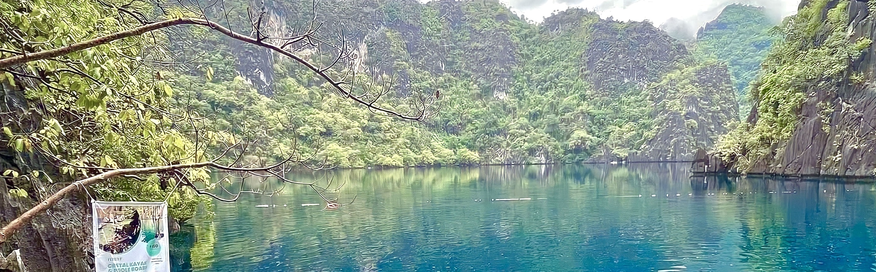 潛入超現實的巴拉acuda湖 (Barracuda Lake)，這裡以獨特的躍溫層、冷暖交疊的湖水，以及壯觀的海底岩層而聞名。享受一趟寧靜又神秘的游泳體驗。