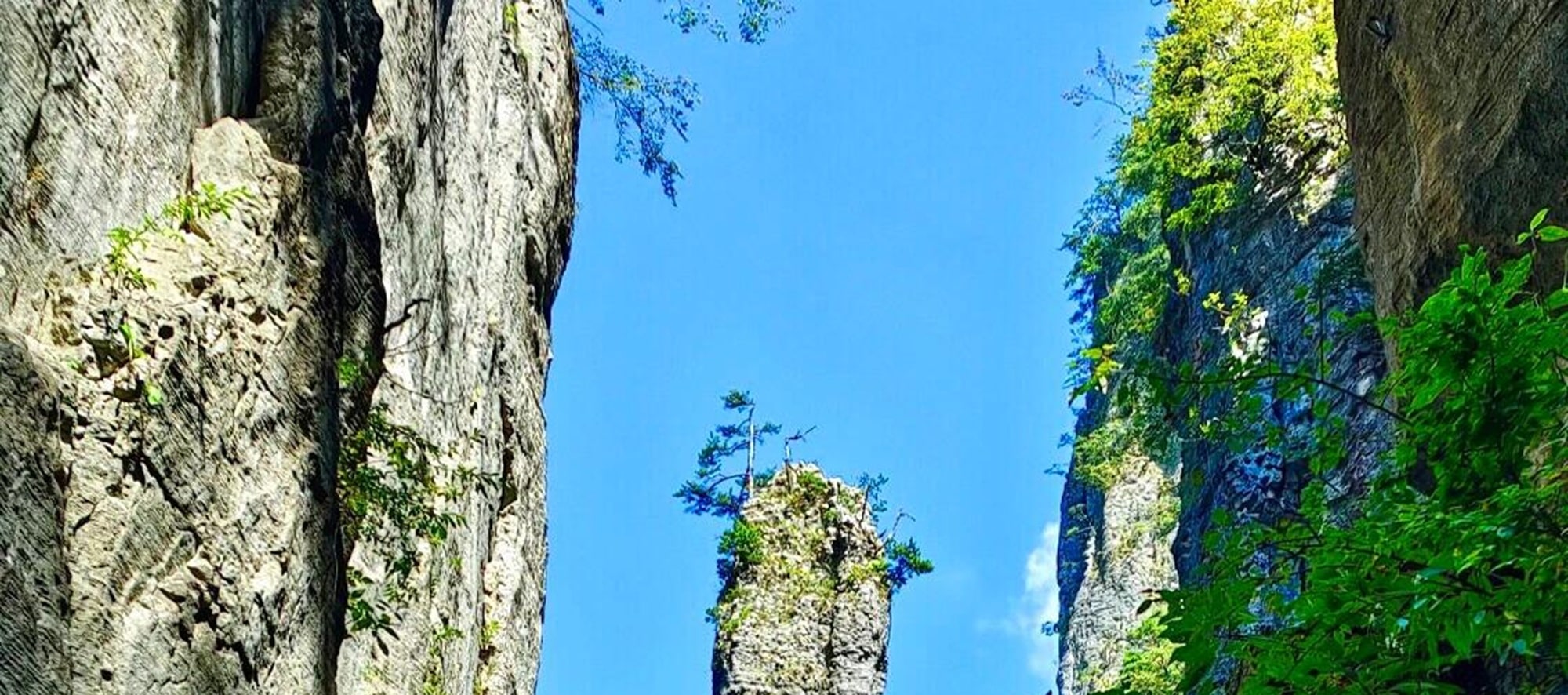 瞧這恩施盛景，奇峰傲立，綠意盈崖，飛鳥掠過天際。邂逅此景，便住進了心尖