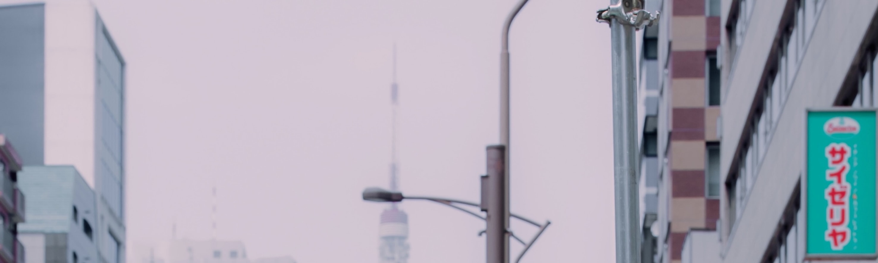 超人氣東京塔：地標建築時尚都市電影感婚紗照
