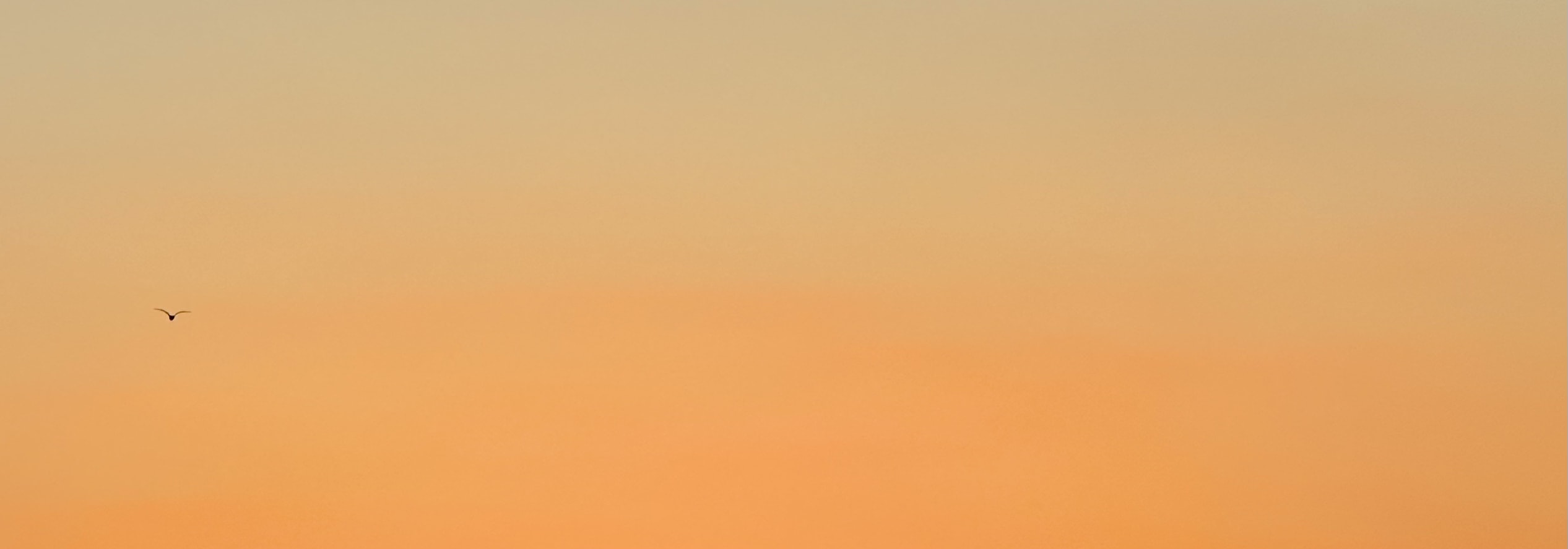 Spectacular Istanbul Sunset Cruise: 3 Hours with Asian Side Explore