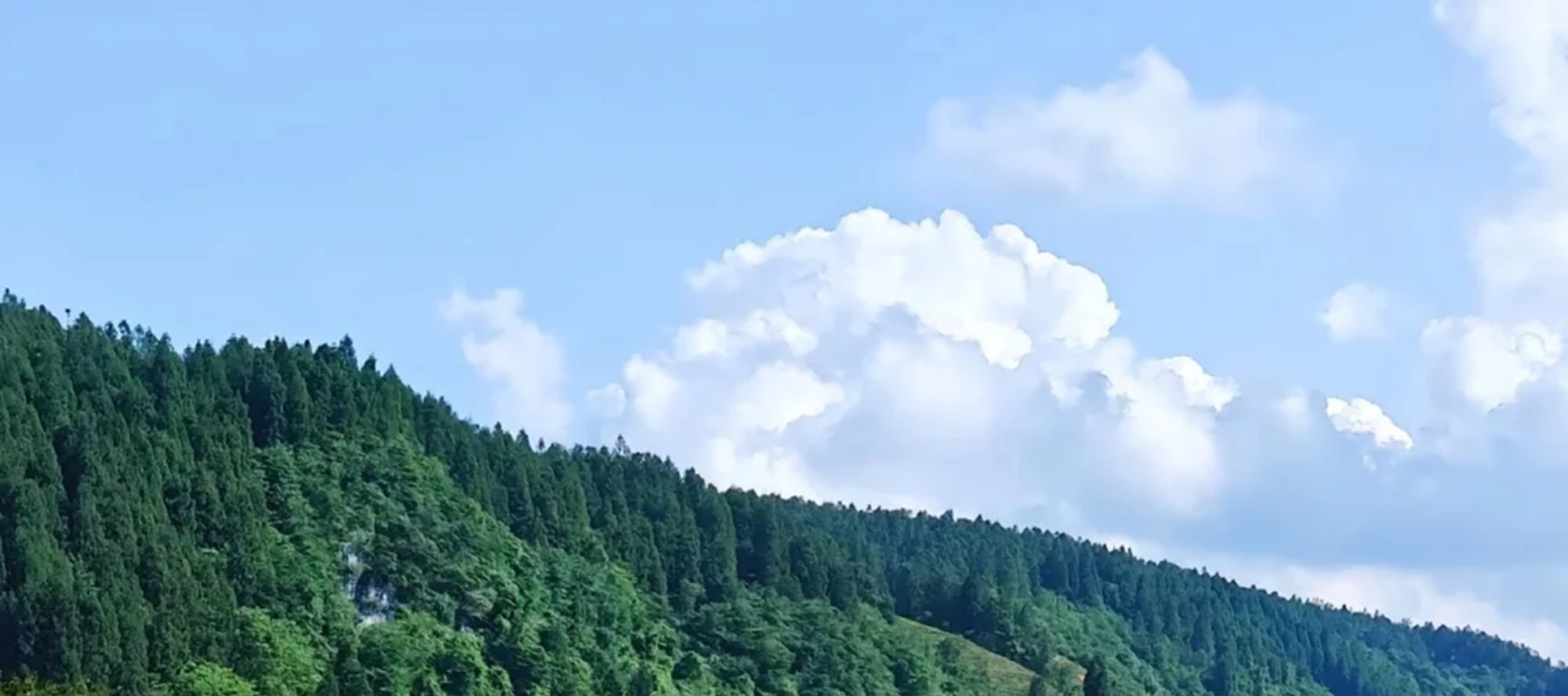重慶武隆中英文私家團二日遊（天生三橋+龍水峽地縫+仙女山森林公園+芙蓉洞/816工程/白馬山天尺情緣/天坑寨子+重慶往返）