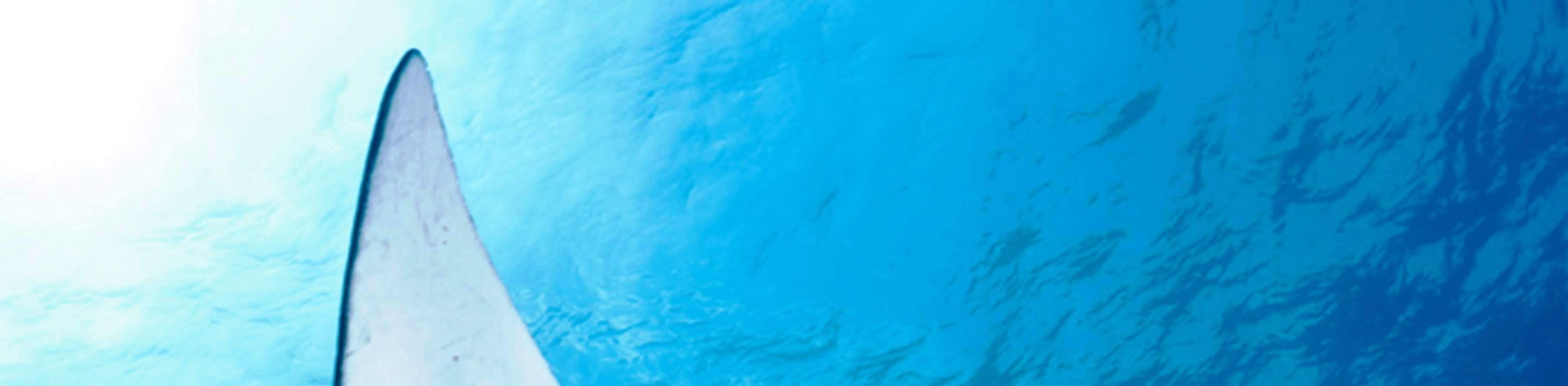 佩尼達島Manta Point 3次潛水體驗（PADI五星級潛水中心）