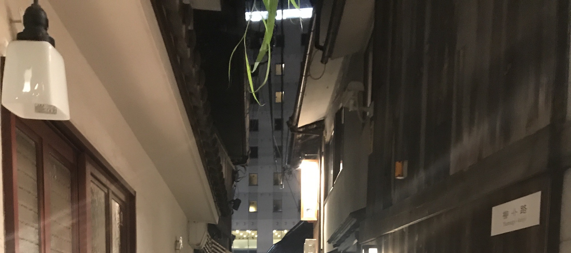 京都酒吧夜生活之旅