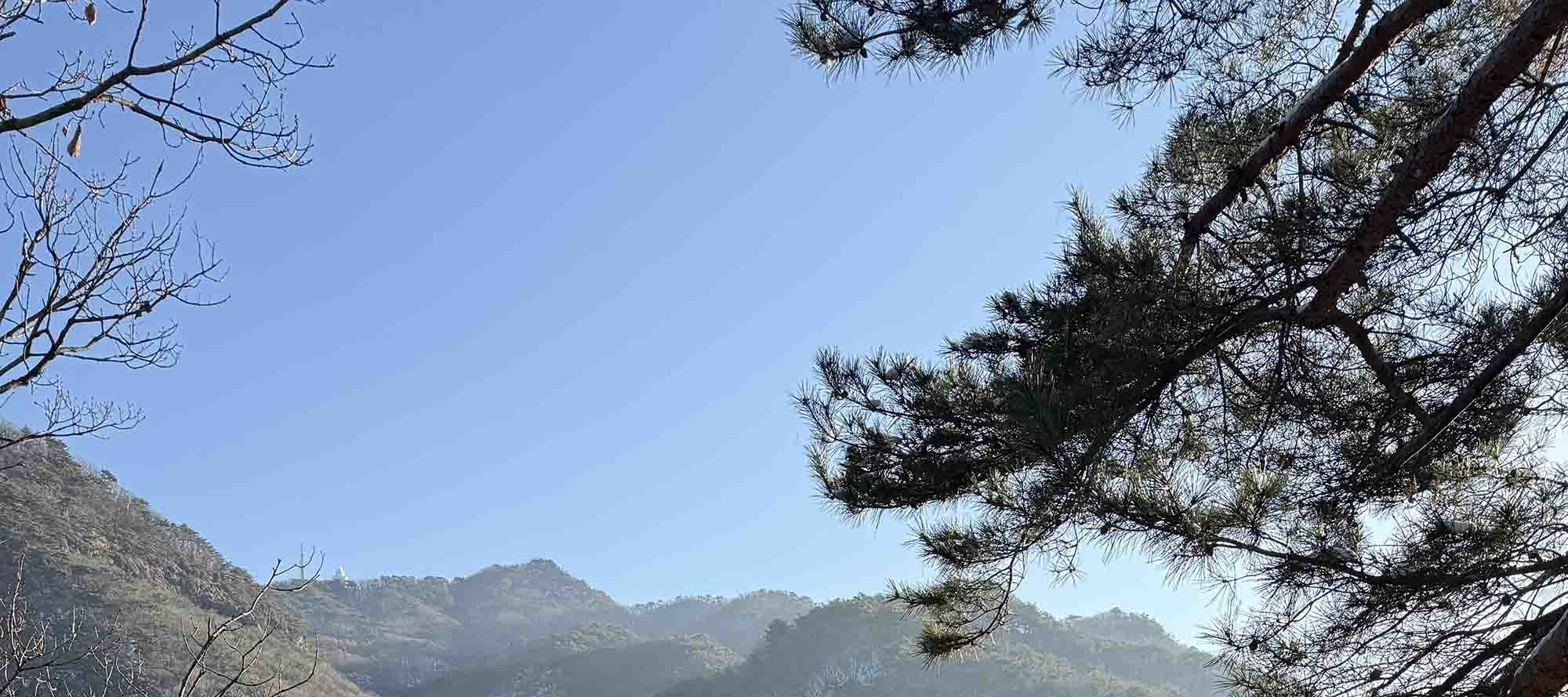 DMZ 非軍事區之旅（含吊橋）- 首爾出發