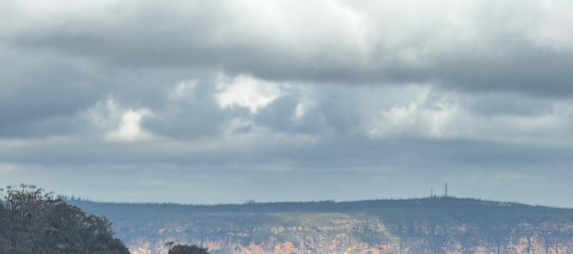 Australian Wildlife, Blue Mountains & Scenic World Private Tour