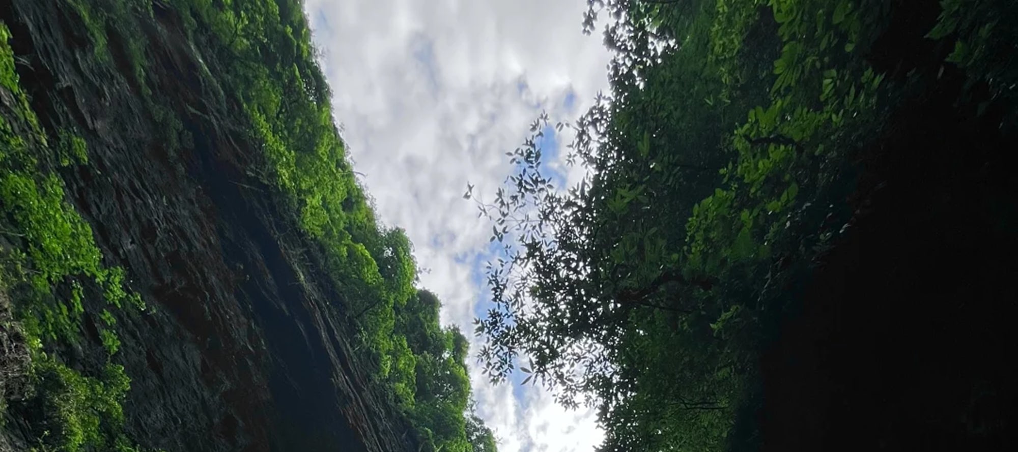 四川峨眉山全景純玩一日遊（峨眉天下秀+梵天淨土 +雲上金頂+天下峨眉+雲霧繚繞+宛若仙境+“四大佛教名山”之一+“人間聖光”+成都往返）