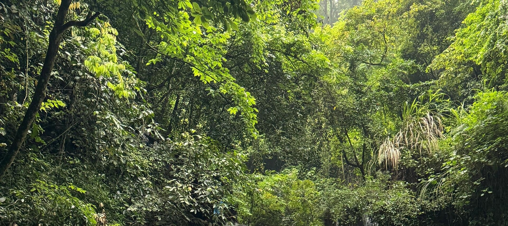 廣西桂林山水秘境5日遊（2-8人團+龍脊+古東瀑布+象鼻山+日月雙塔+遇龍河竹筏+興坪古鎮+灕江+十里畫廊+下午茶+篝火晚會+桂林往返）