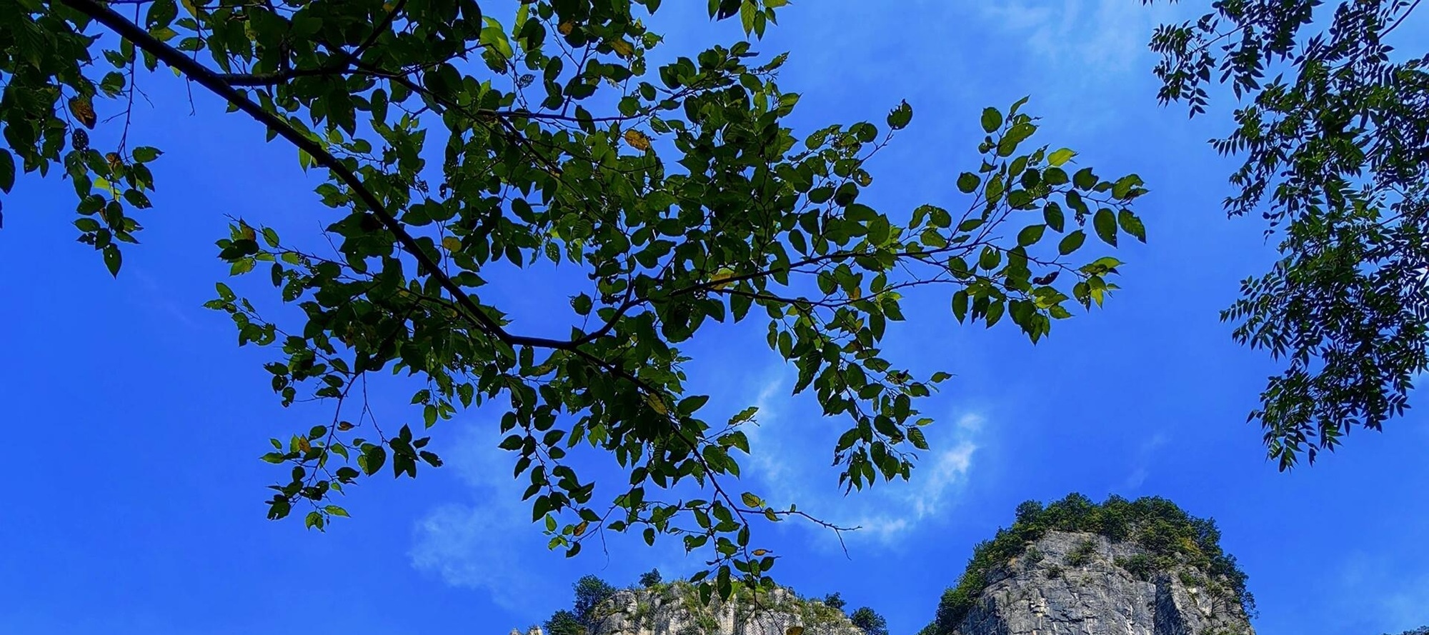 恩施大峽谷，峭壁摩天，棧道蜿蜒如龍。於雲霧間穿梭，邂逅山巔的壯闊與神秘