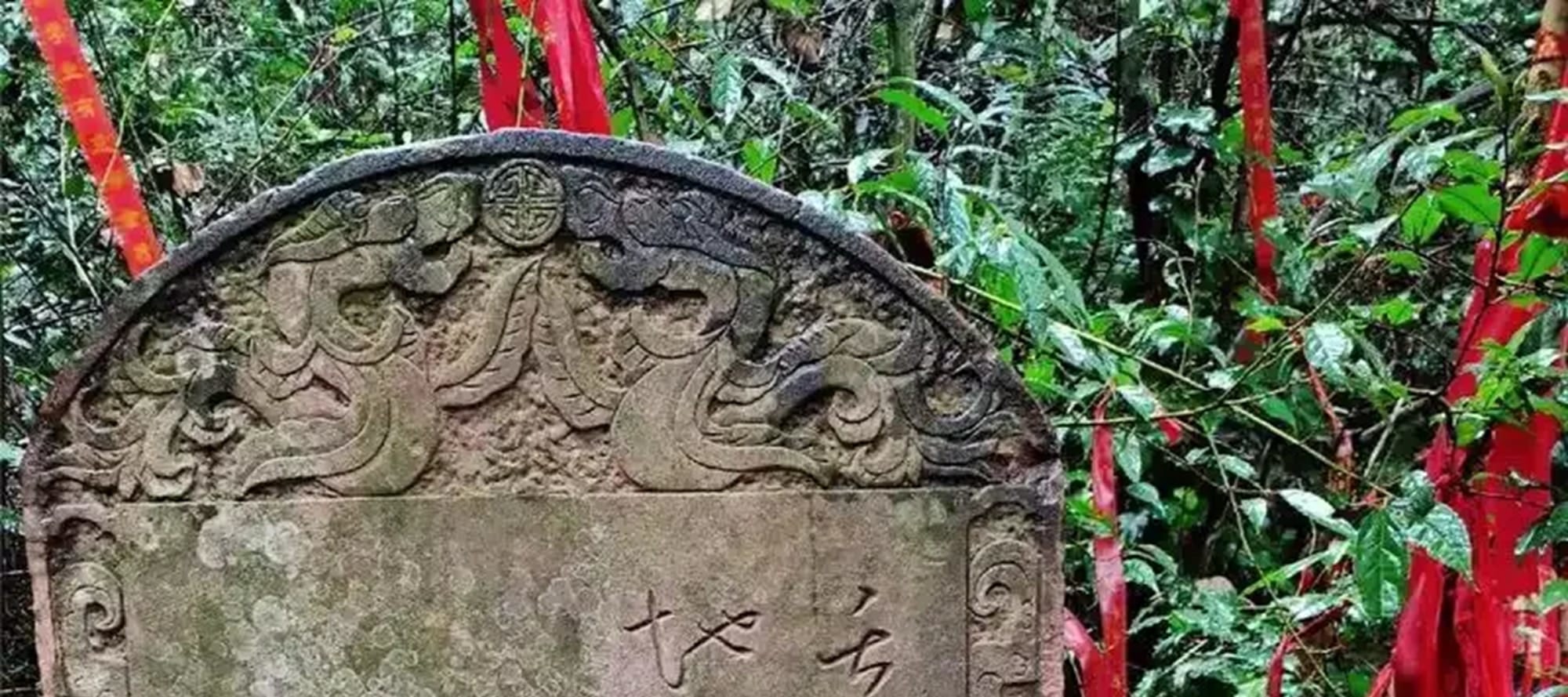 四川峨眉山全景純玩一日遊（峨眉天下秀+梵天淨土 +雲上金頂+天下峨眉+雲霧繚繞+宛若仙境+“四大佛教名山”之一+“人間聖光”+成都往返）