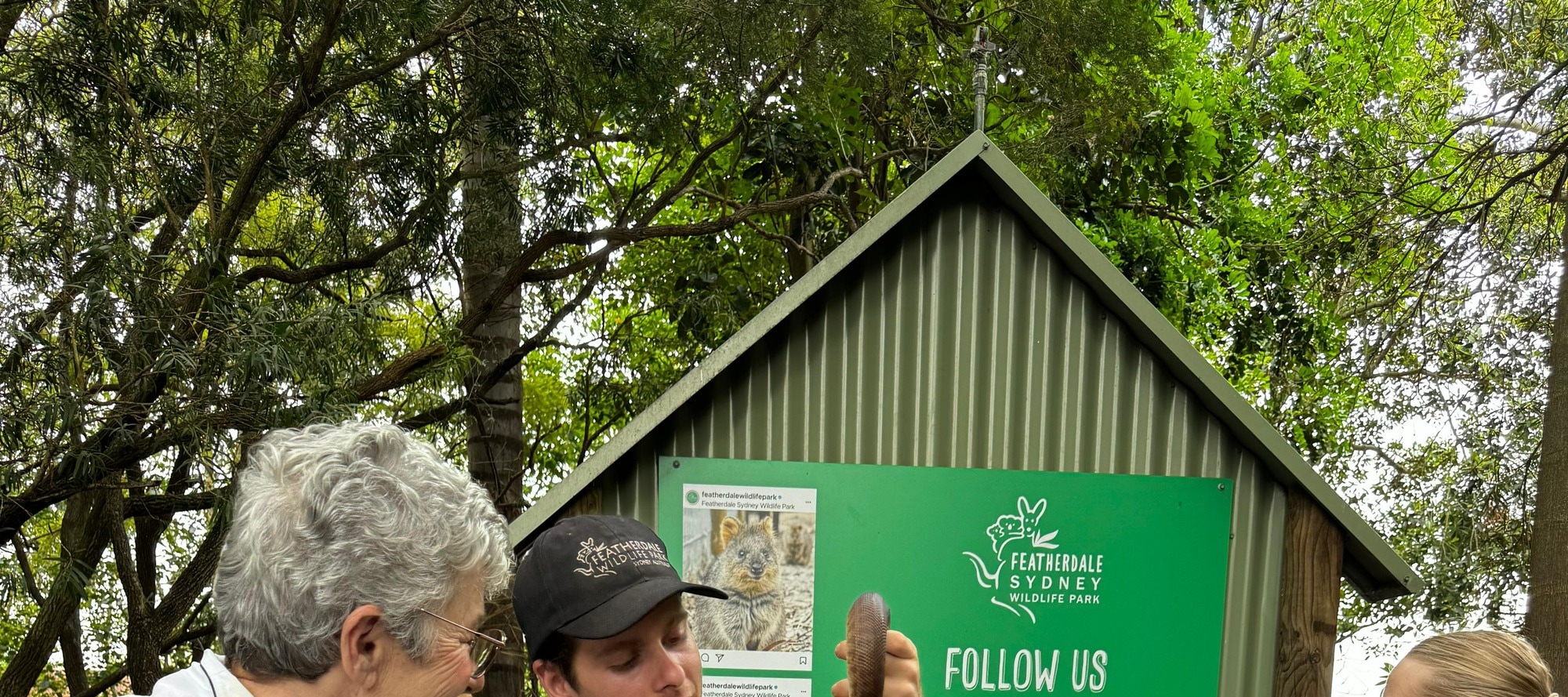 Australian Wildlife, Blue Mountains & Scenic World Private Tour
