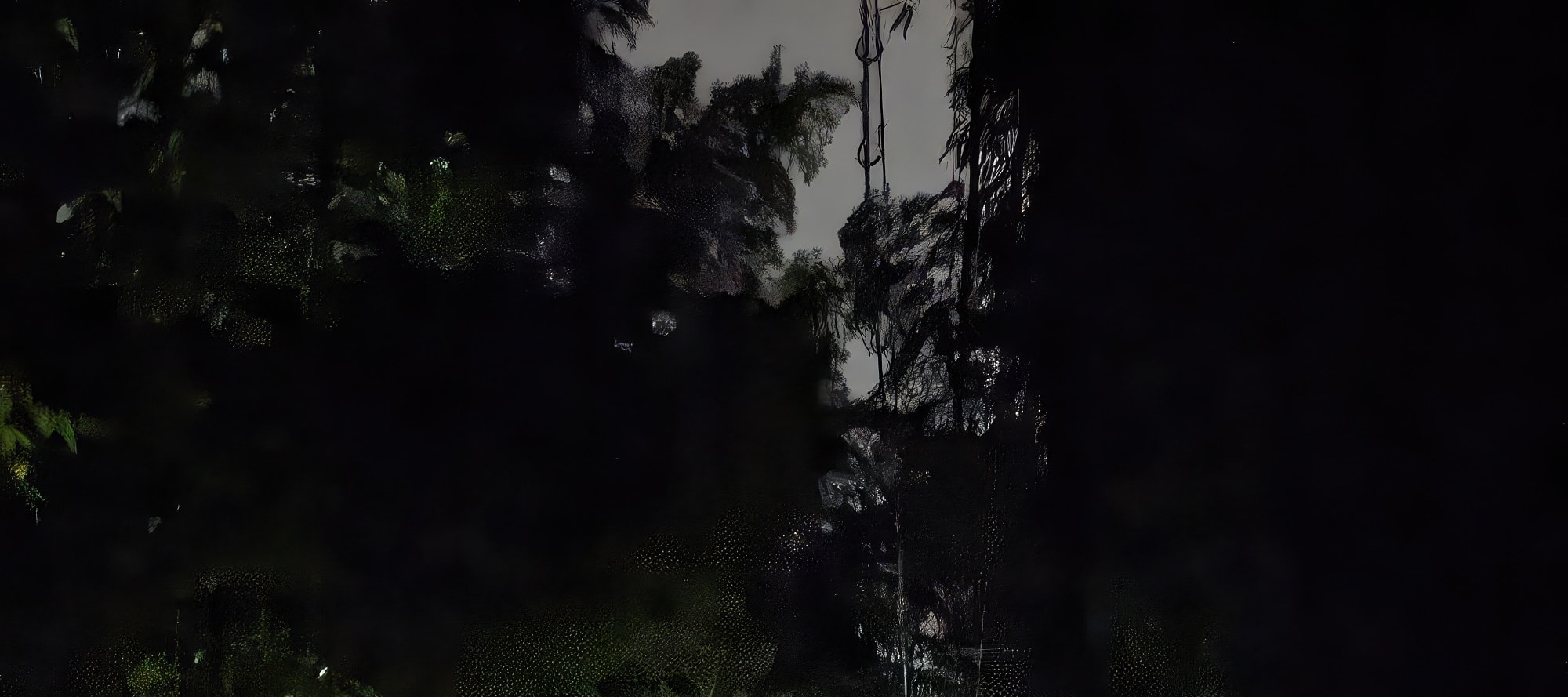 京都市嵐山幽靈狩獵夜遊