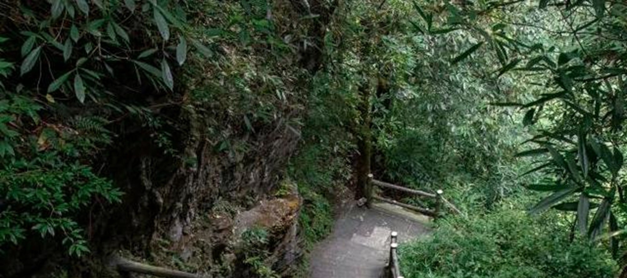 Enter the secret realm of Emei Mountain, walk along the winding ancient road, take in the beauty of mountains and rivers, appreciate the seclusion of ancient temples, and find inner peace
