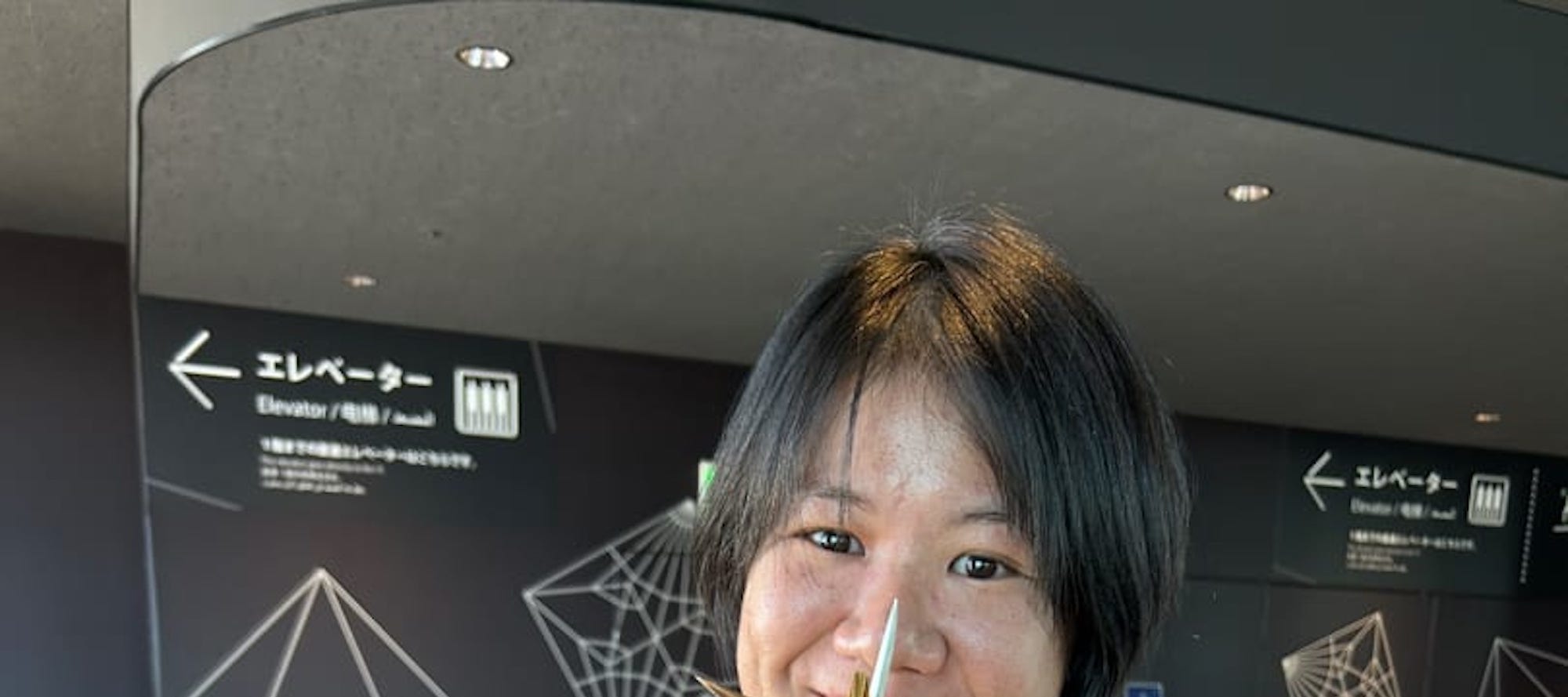 Hiroshima Peace (Heiwa) Walking Tour at World Heritage Sites