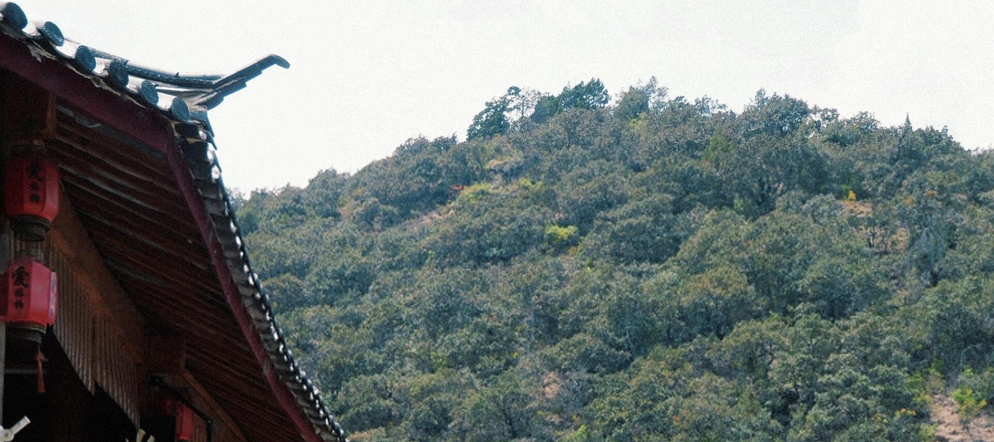走進束河古鎮，邂逅青瓦古巷、潺潺流水，尋歲月詩意