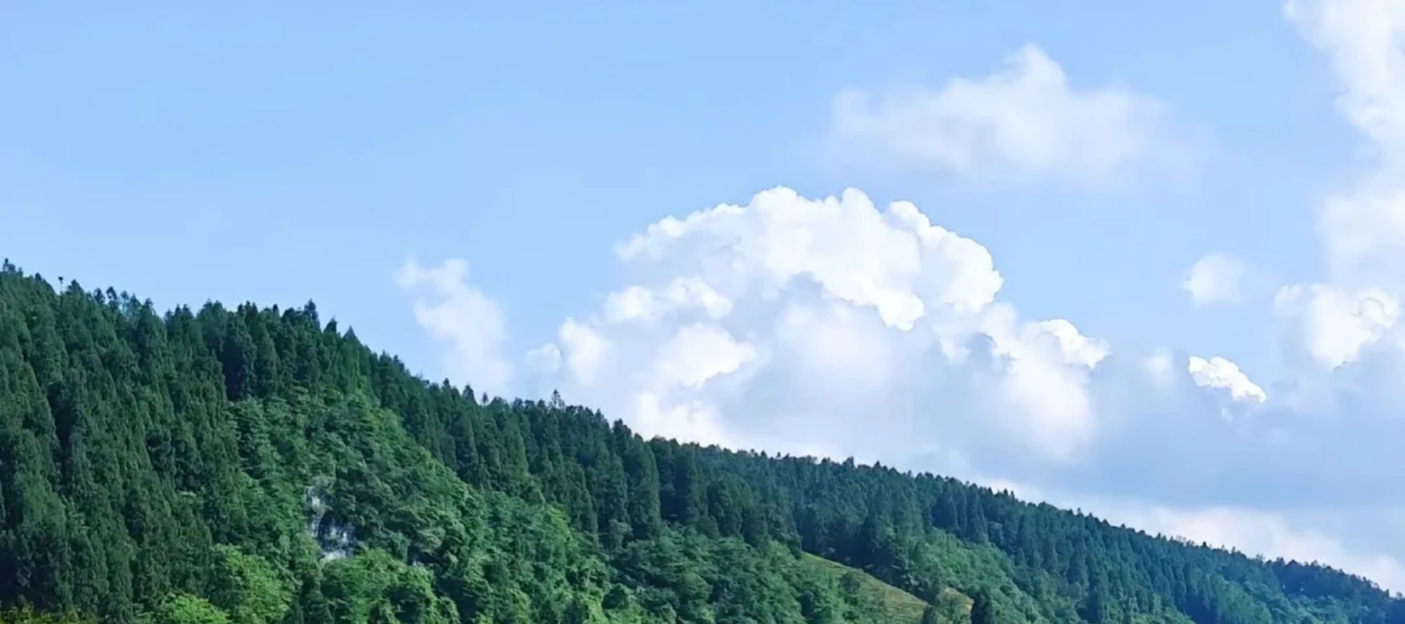 Are you feeling drained by your busy life? Then head to Chongqing Fairy Mountain! This is a utopia that can heal everything, a green wonderland that comes out of Hayao Miyazaki's animations.