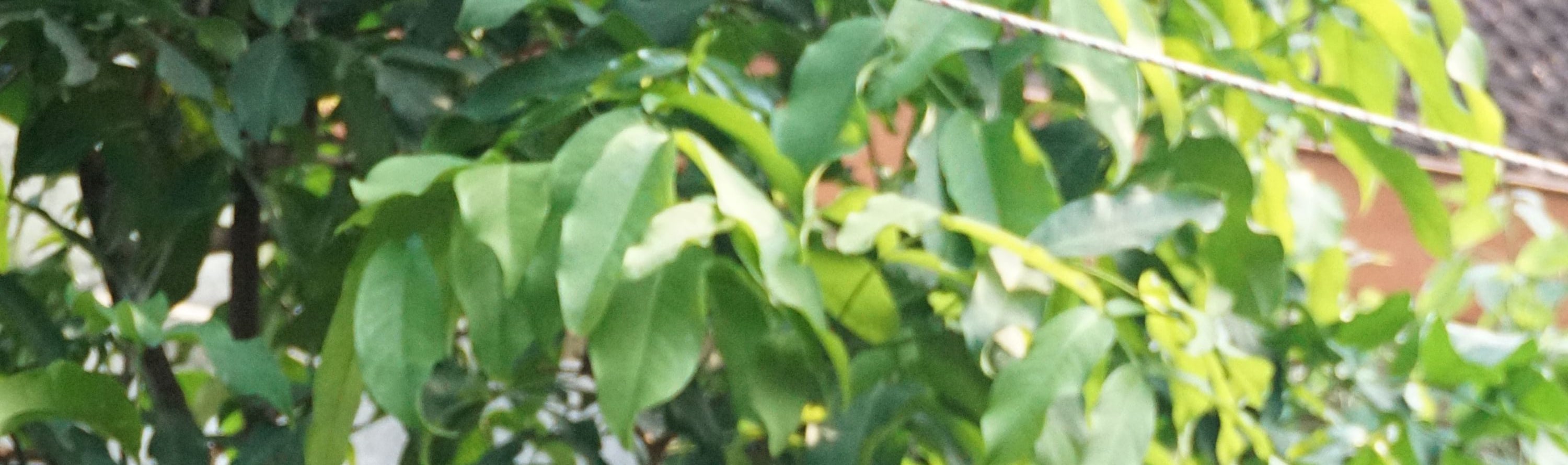 見證靛藍染色的魔力 見證靛藍染色的魔力