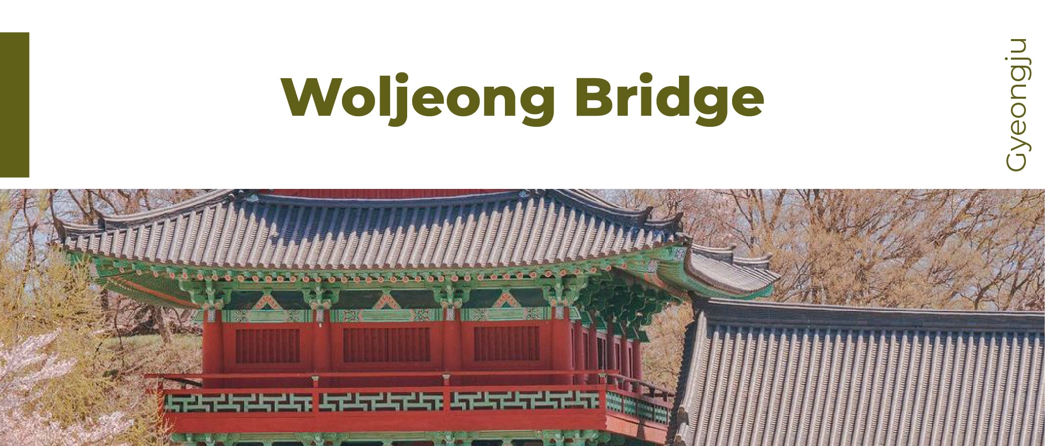 [From Daegu] Gyeongju UNESCO Day Tour: Bulguksa Temple, Cheomseongda