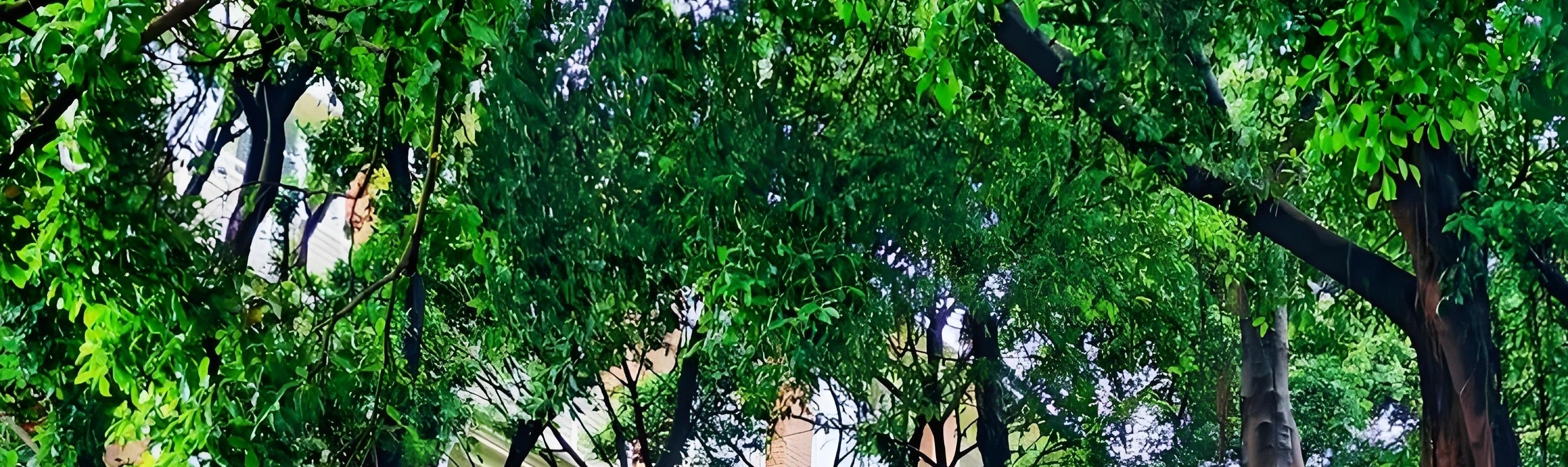 廣州沙面：匯聚各國風格建築，宛如一座露天的歐式建築博物館，漫步其間盡享異域風情。