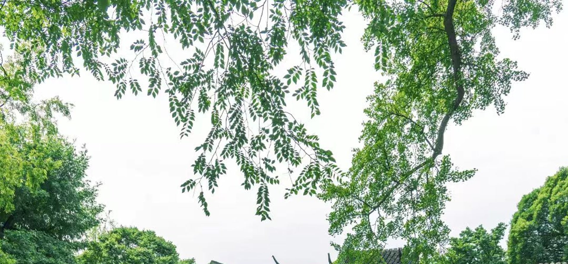 以其別具一格、自然流暢的建築藝術而享有盛名,作為中國大型古典私家園林的典範,以建築藝術的卓越成就著稱 以其別具一格、自然流暢的建築藝術而享有盛名,作為中國大型古典私家園林的典範,以建築藝術的卓越成就著稱