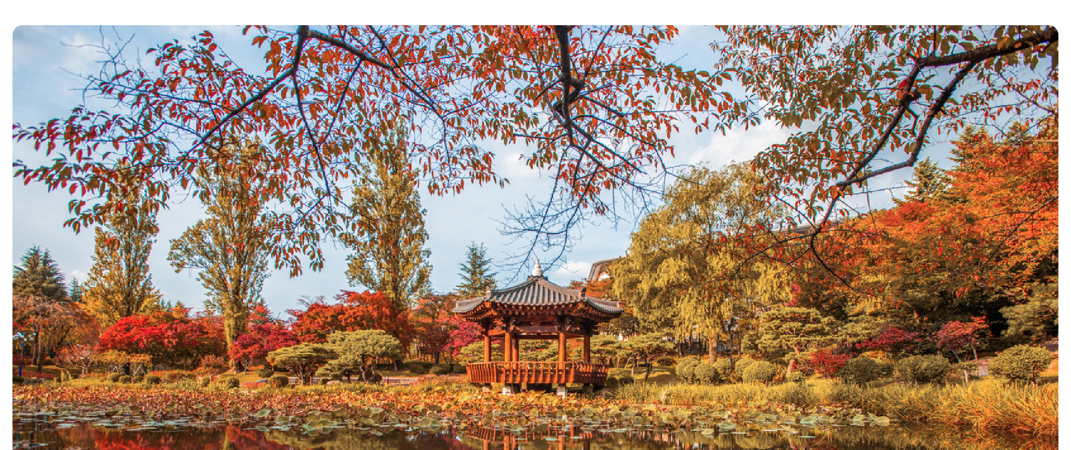 慶州賞楓一日遊（釜山出發）