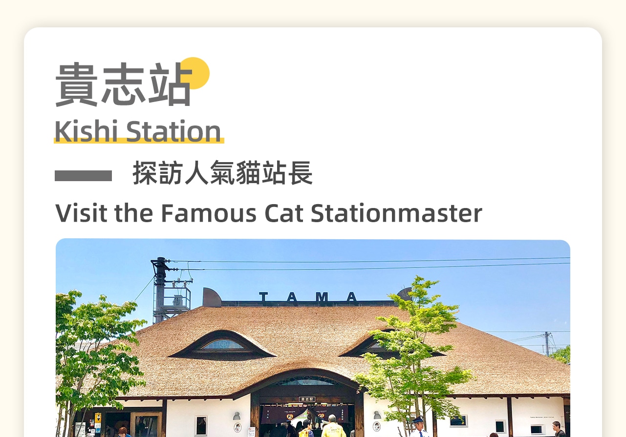 拜訪可愛的貓站長，感受獨特的貓咪文化與車站風情，搭乘體驗特色電車