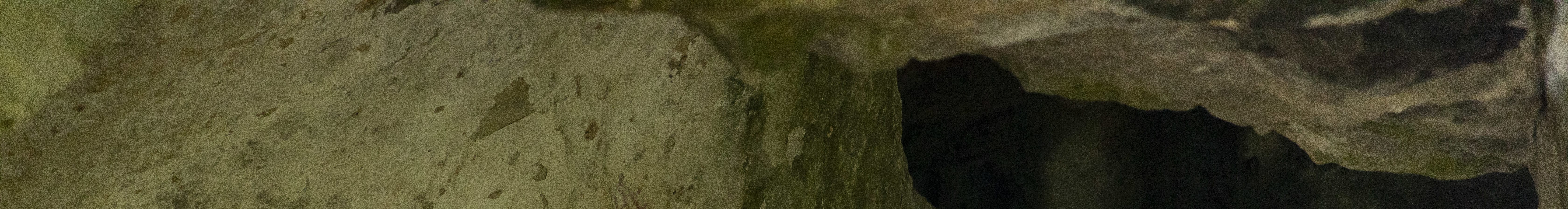 聖靈島2晚小型遊船巡遊