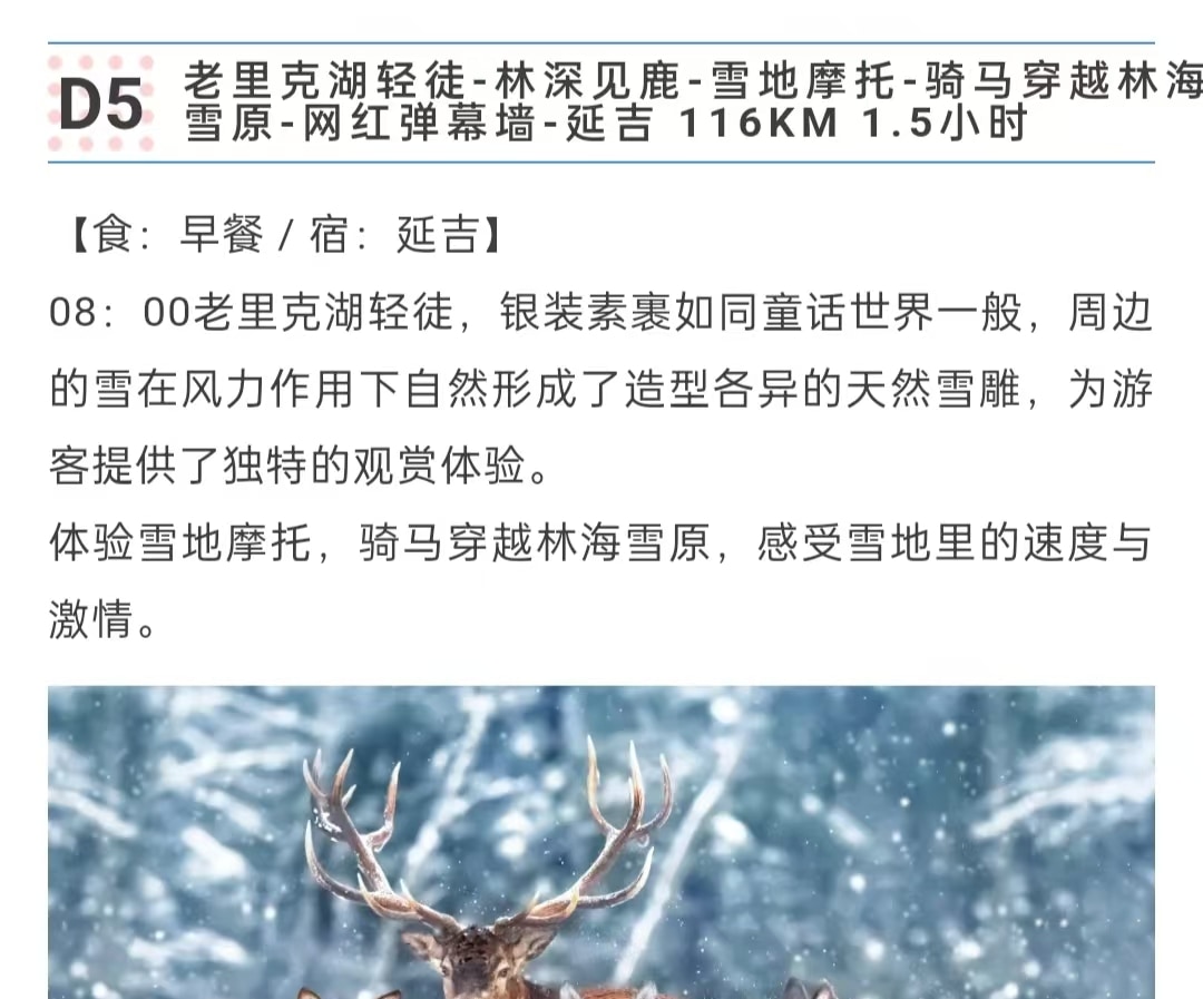 東北頂奢長白高奢私家6日（水色別墅兩晚連住+萬達度假區兩晚連住+騎馬穿越林海雪原+極寒霧凇漂流+延吉旅拍+圍爐煮茶+雪地火鍋+老裡克湖）