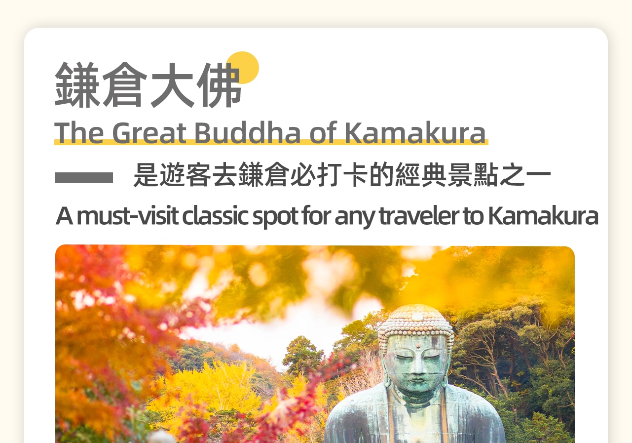鎌倉大佛是古都鎌倉的象徵,大佛淨高11.3米,連臺座高13.35米,重約121噸。非常珍貴。(門票敬請自理:300円、大佛內部50円)。 鎌倉大佛是古都鎌倉的象徵,大佛淨高11.3米,連臺座高13.35米,重約121噸。非常珍貴。(門票敬請自理:300円、大佛內部50円)。
