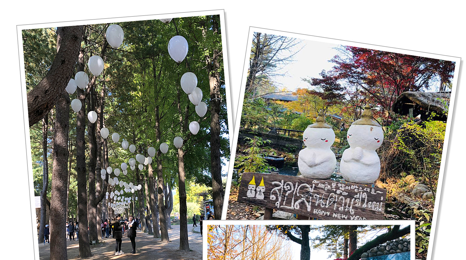 雪嶽山／纜車／草泥馬樂園／鐵道自行車／晨靜樹木園之旅