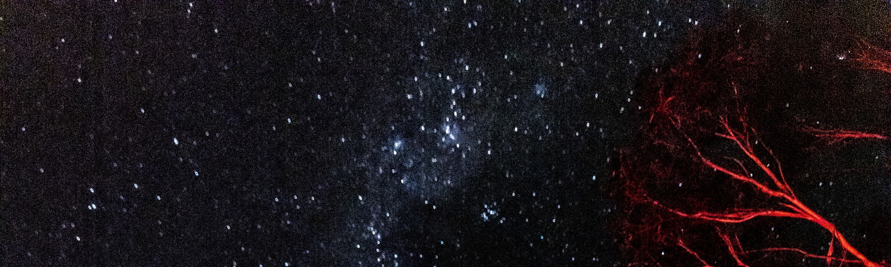 藍山觀星體驗