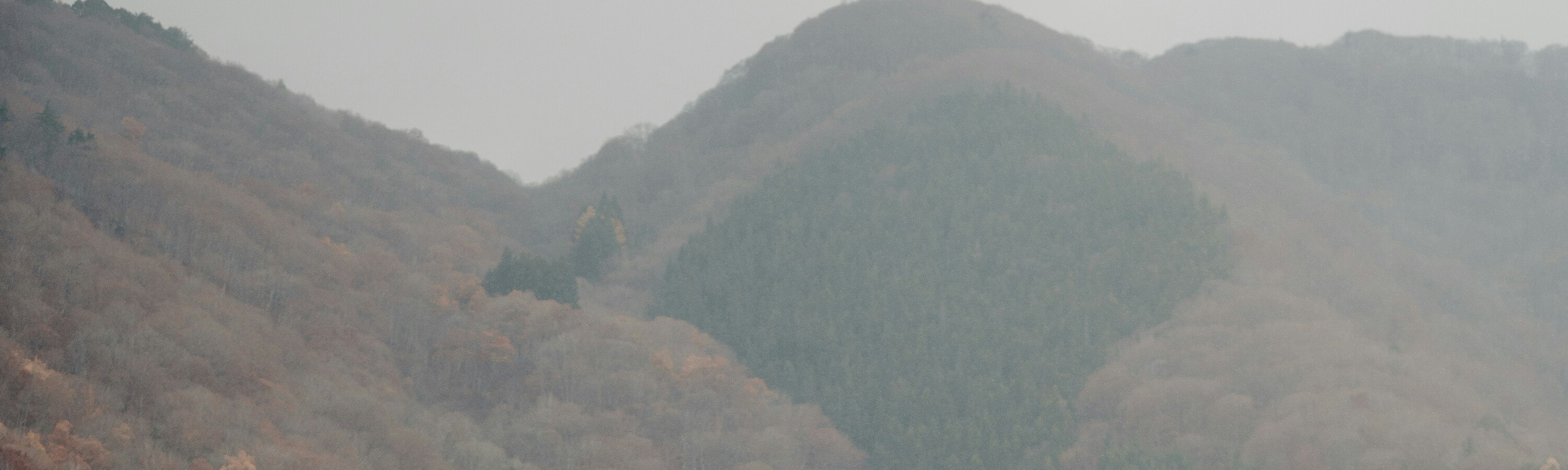 Gassho Traditional Houses