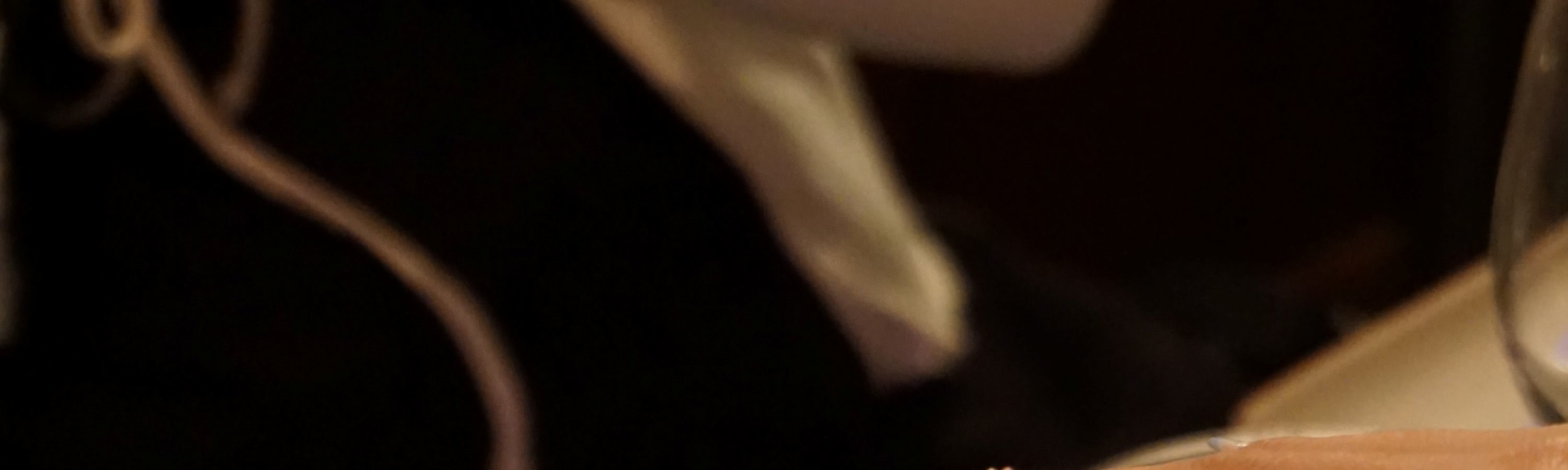 Sydney Harbour Cabaret Show Cruise with 3-Course Dinner - Thumbnail 11