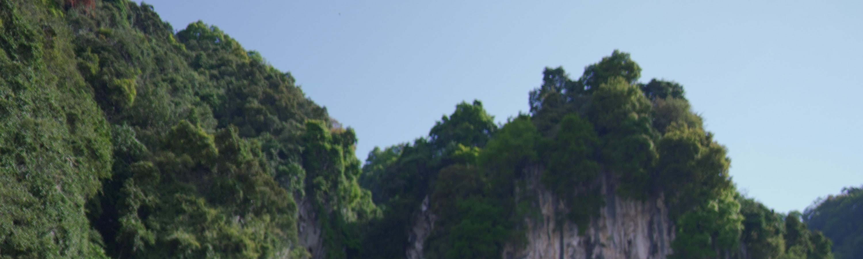 Private Car Charter in Kuala Lumpur or Genting Highlands (EN/CN speaking driver) 
