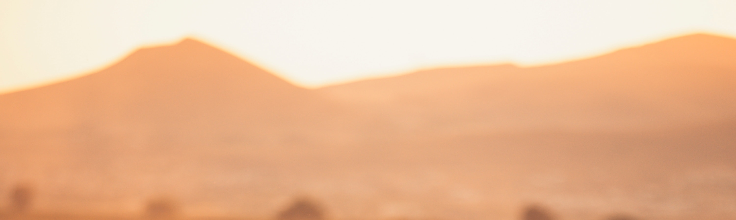 Private Photoshoot With Wild Horses in Cappadocia - Thumbnail 13