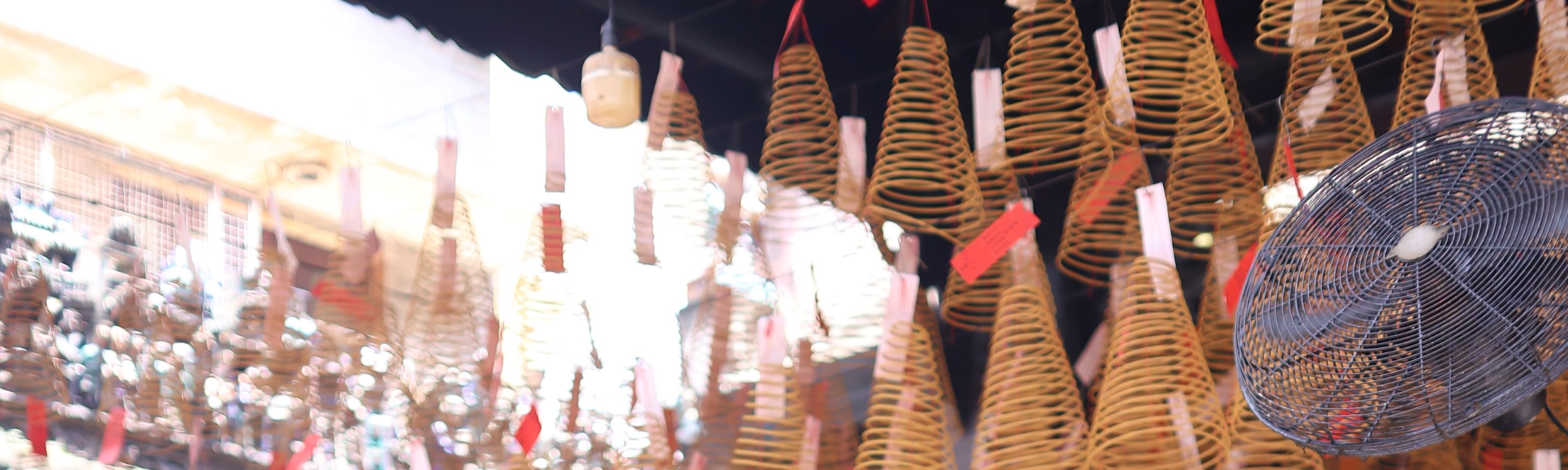 西貢冒險一日遊（奧黛騎士接送）