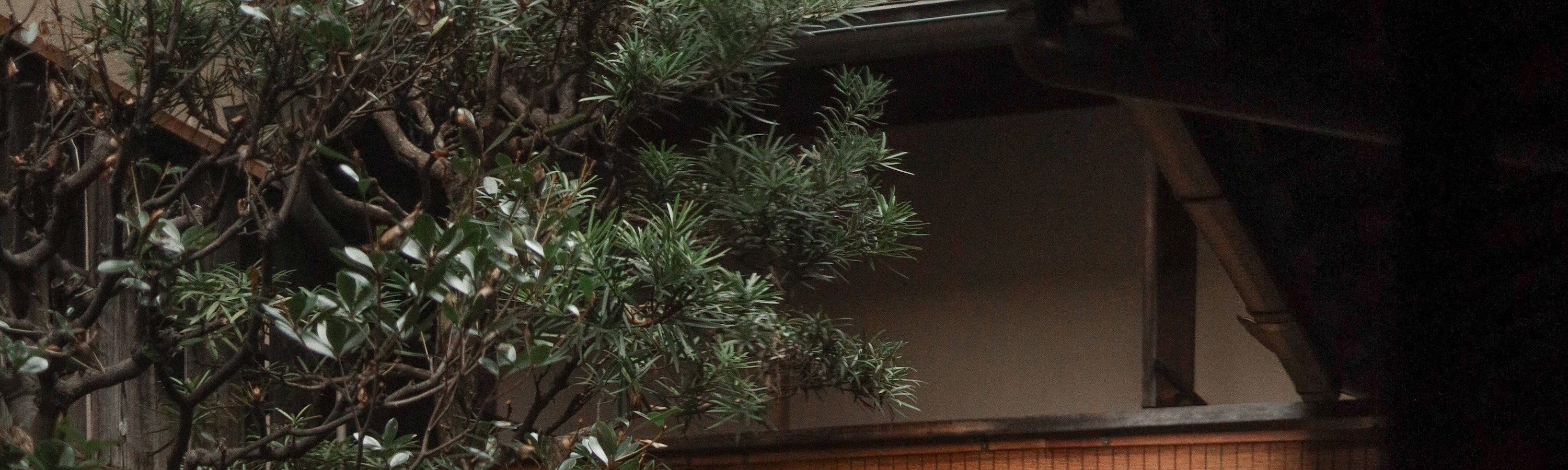 Kyoto: Candlelit Tea Ceremony in a 100-Year-Old Townhouse - Thumbnail 16