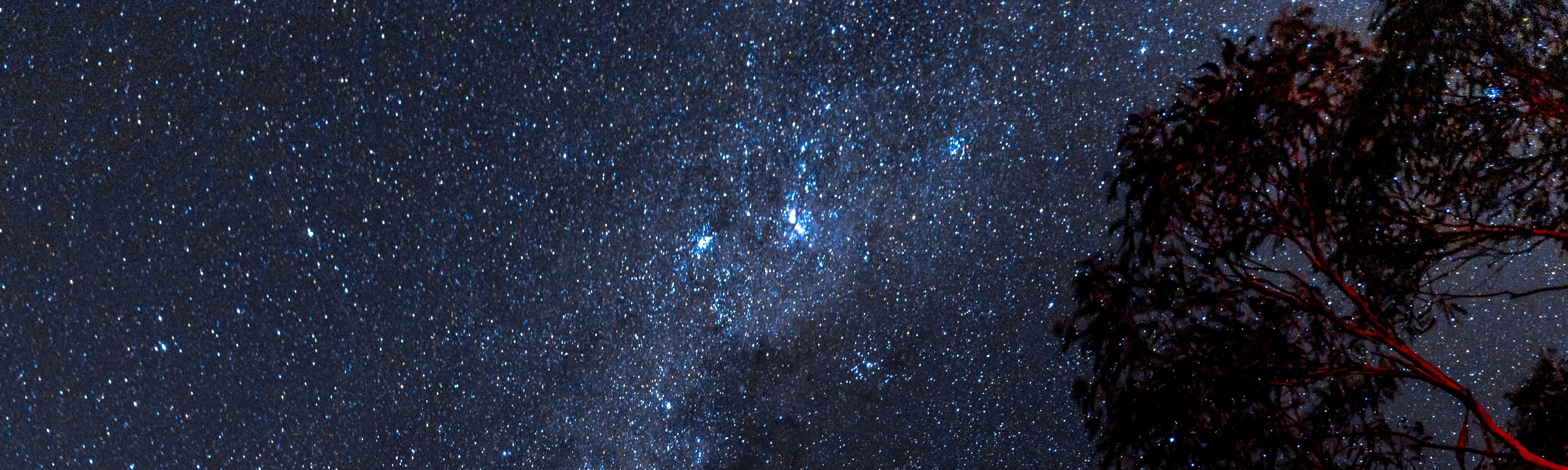 藍山觀星體驗