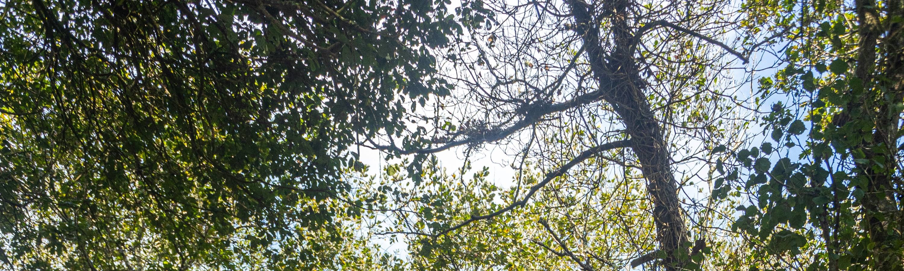 Jeeptour in the Mindelo Reserve 