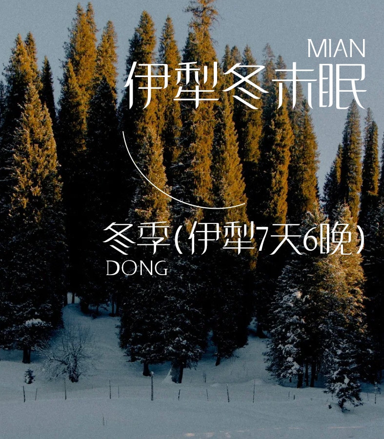 新疆秋恋双湖7日游（1+1头等舱+单反&无人机旅拍+360°赛里木湖自驾+二进塞湖）*等待确认